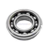 ŞANZUMAN RULMANI      480 1